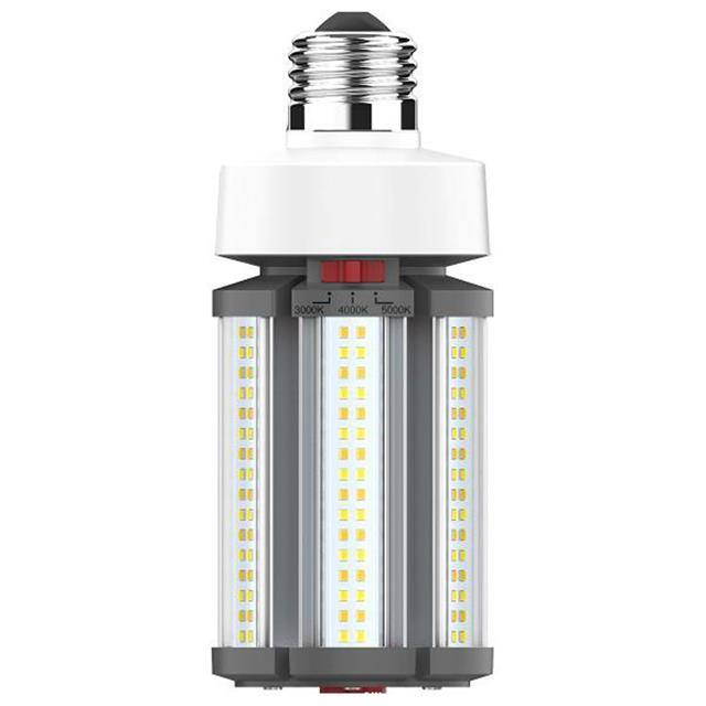 45923231407 product image