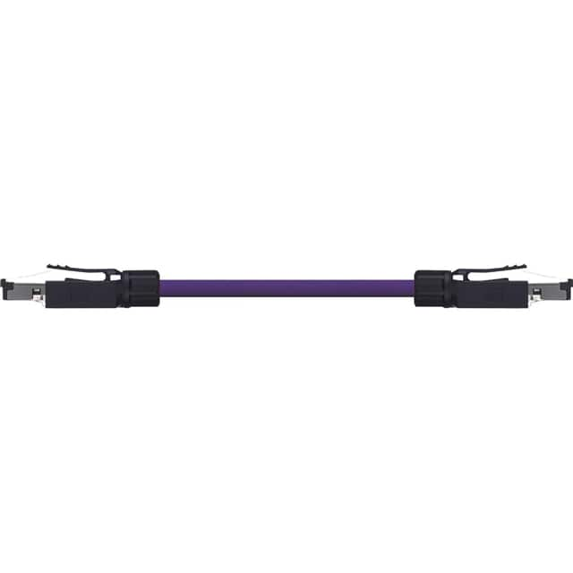 CAT6 PVC-010FT