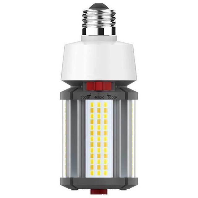 45923231469 product image