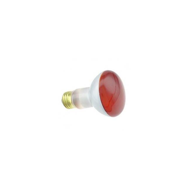75R20/TL-AMBER 130V