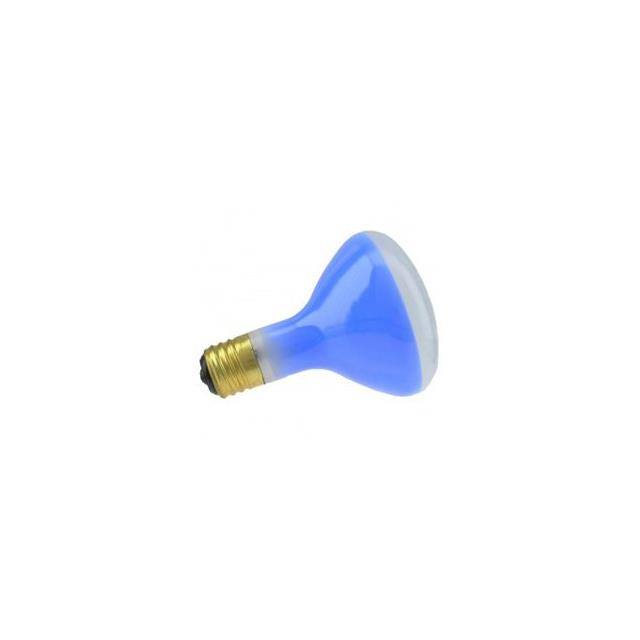 100/300NECK /R40-BLUE 120V product image