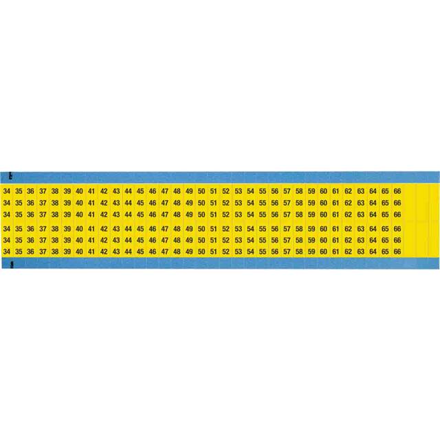 WM-34-66-YL-SC-PK