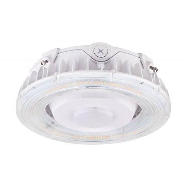 45923674280 product image
