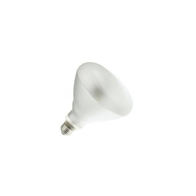 85BR40/FL60/LL 120V