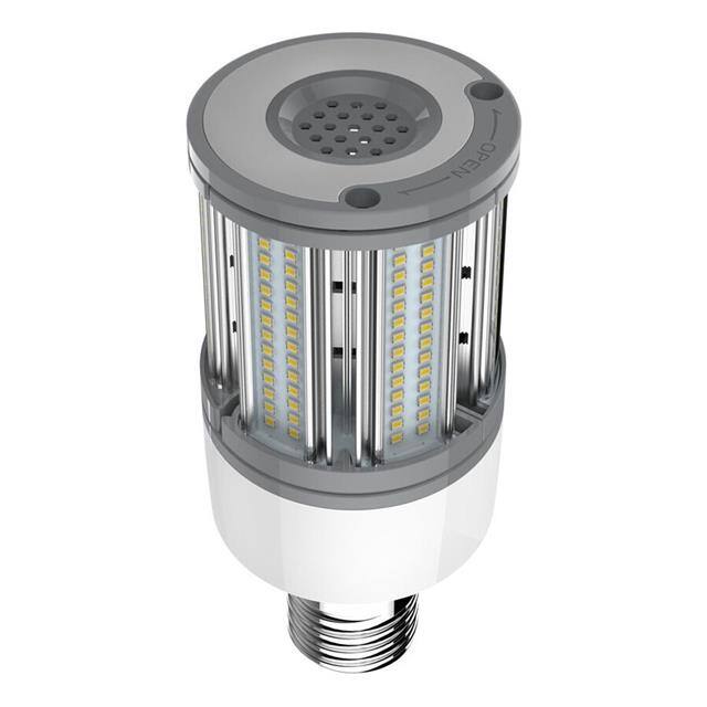 31293111296 product image
