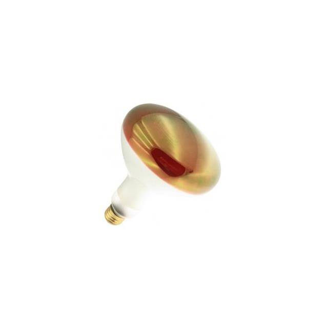 100BR40/R 120V product image