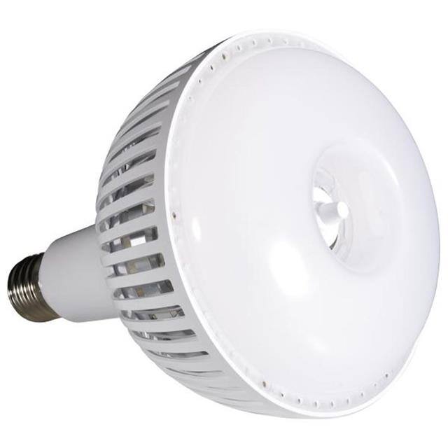 45923231131 product image
