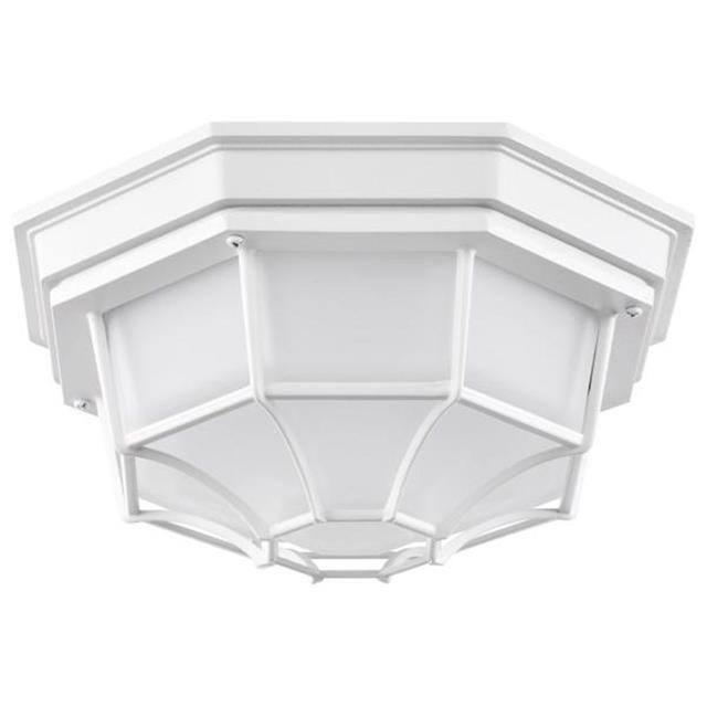45923613999 product image
