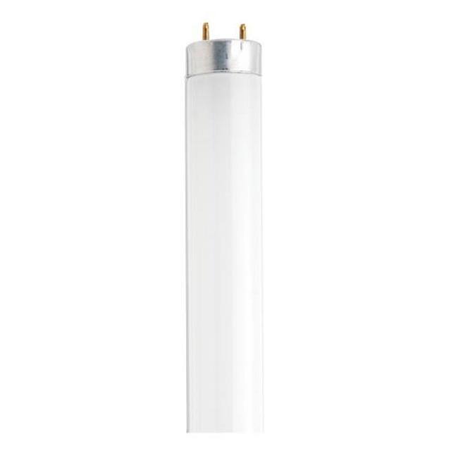 45923265167 product image