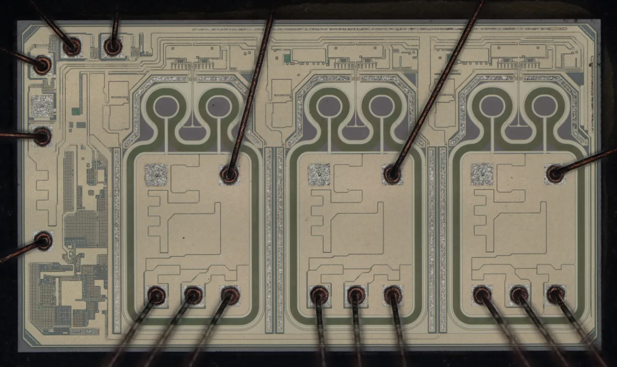 Magnified view of a decapsulated electronic component sample published by ICLAB